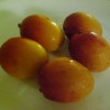 美味しいフルーツ「宮崎小粒のアップルマンゴー」